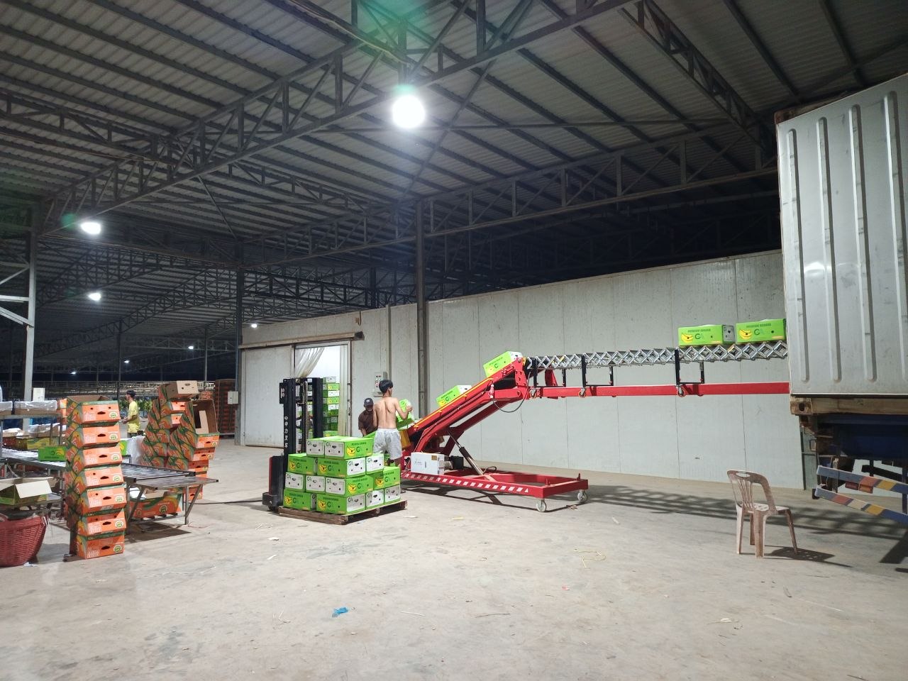 Green banana cartons moving toward a container loader