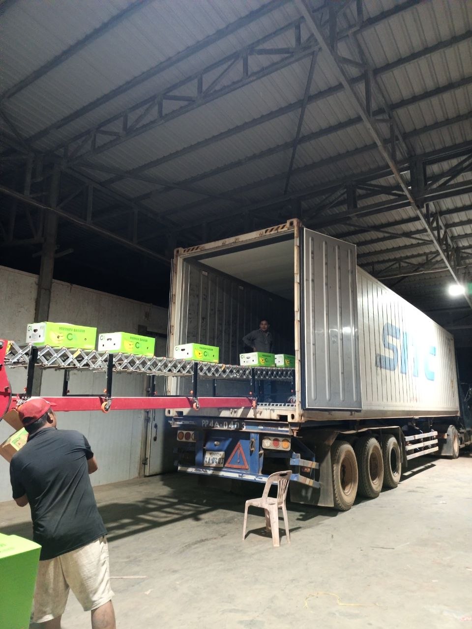 Banana cartons on conveyor entering shipping container