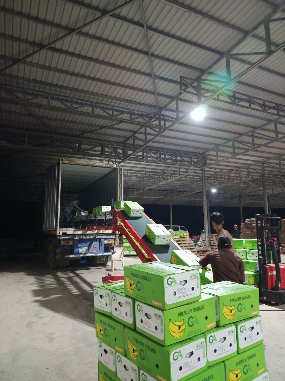 Green banana cartons being loaded into a shipping container