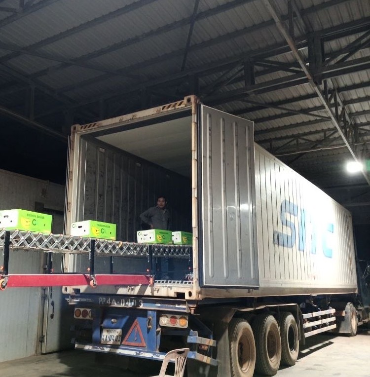 Shipping container open for banana carton loading