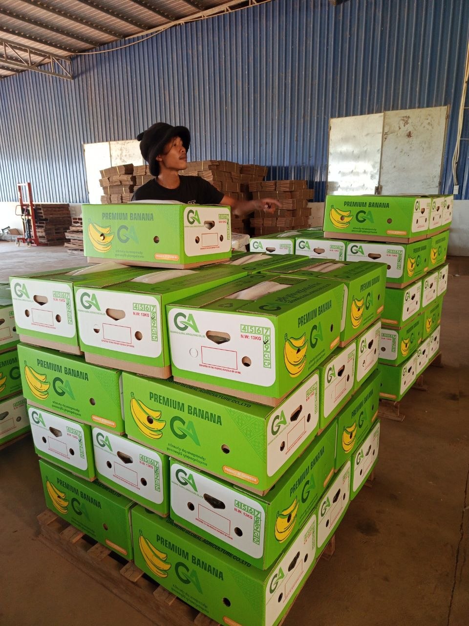 Premium banana cartons stacked on pallets
