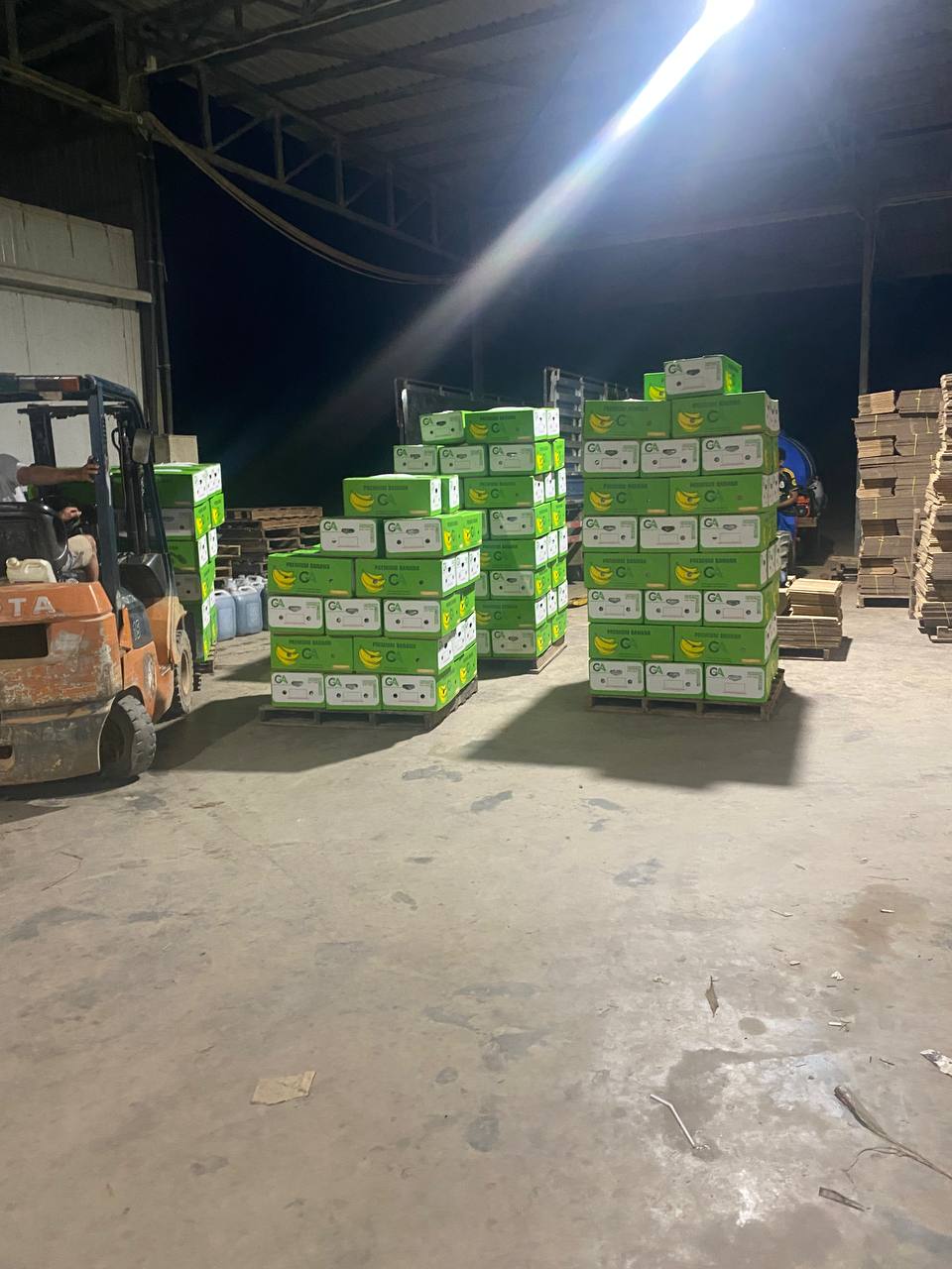 Forklift moving pallets of green banana cartons at night